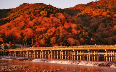 京都の紅葉はシトロエンのレンタカーで！