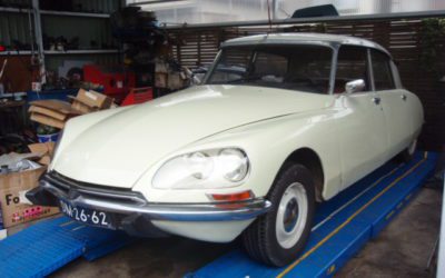 Dスペシャル白 お色直し