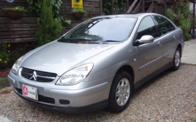 新入庫のお知らせ