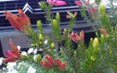 今日も有難う御座いました