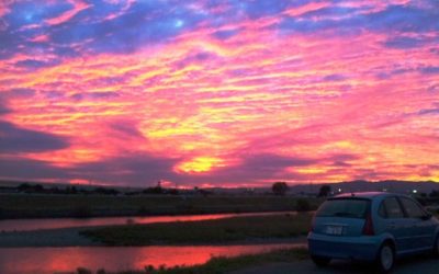 お客様からの　お便り