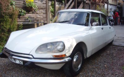 新入庫のお知らせ