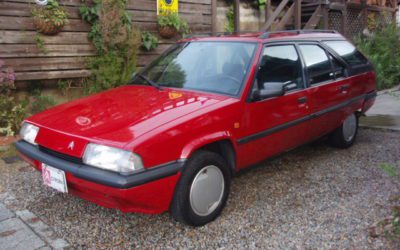 新入庫のお知らせ