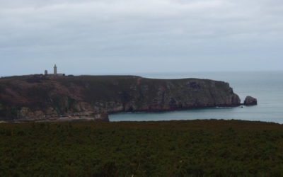 日曜日　ご来店有難うござます。