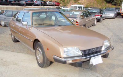 新入庫のお知らせ