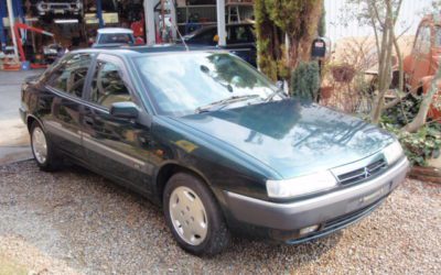 エクザンティア