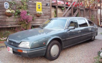 新入庫のお知らせ