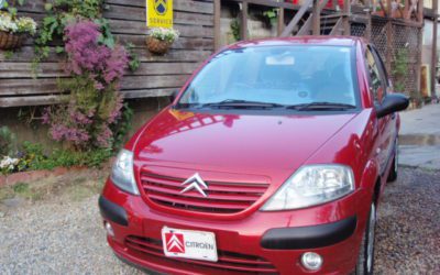 新入庫のお知らせ