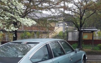 雨に思うこと・・