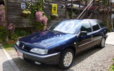 新入庫のお知らせ