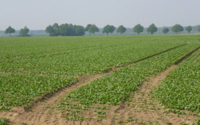 ドイツ スペシャル ショップ訪問