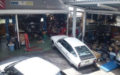 オランダ帰り 初日