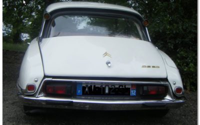 新入庫予定のお知らせ