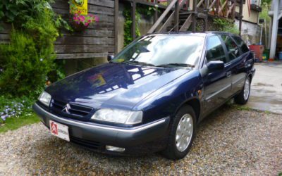 新入庫のお知らせ