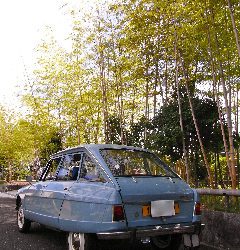 暑い中 ご来店有難う御座います。