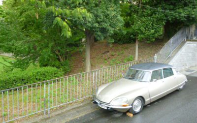 しのぎやすい日に感謝です