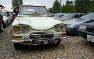 今週スタートです