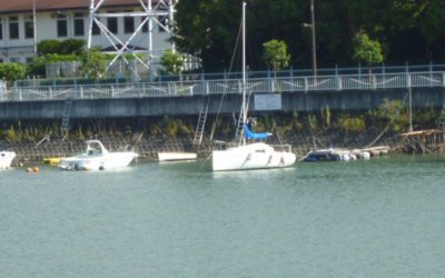 今日もありがとうございました