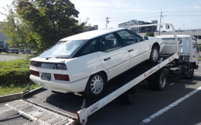 今日はハロウィンだそうで