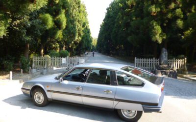 今日は雨ですね・・・