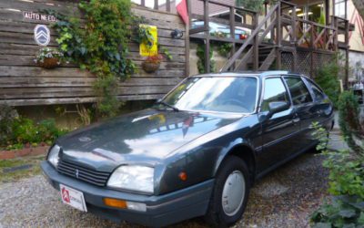 新入庫のお知らせ