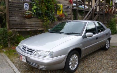 新入庫のお知らせ