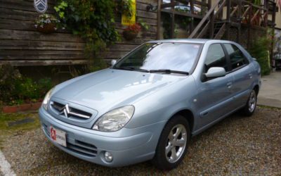 新入庫のお知らせ