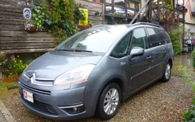 新入庫のお知らせ