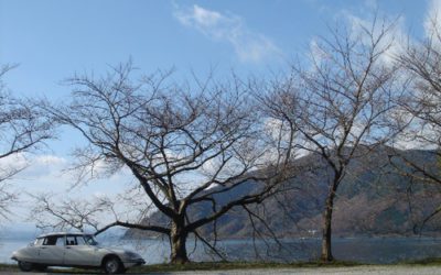 納車後のおたより