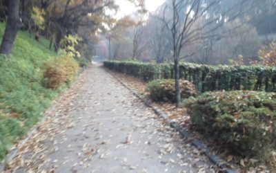 出勤途中・・思考。