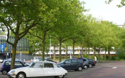 土曜日　寒い！