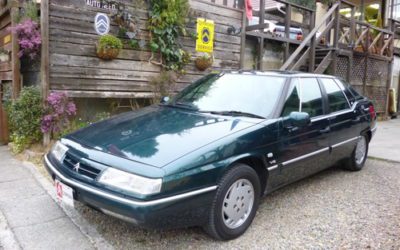 今週スタートです