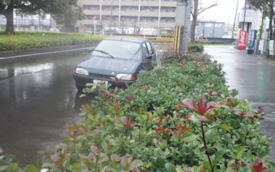 雨の試走、その他色々
