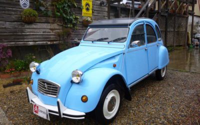 新入庫のお知らせ