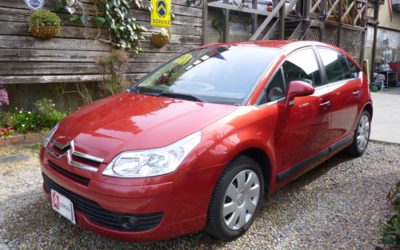 新入庫のお知らせ