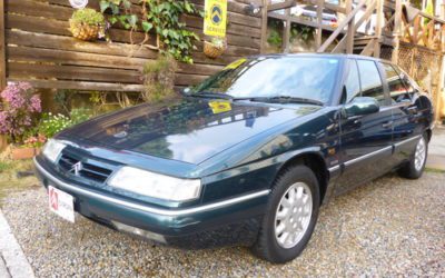 新入庫のお知らせ