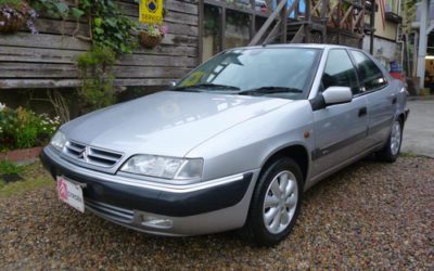 新入庫のお知らせ