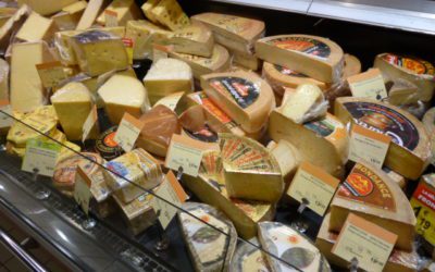 初日のリールの夜