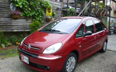 新入庫のお知らせ