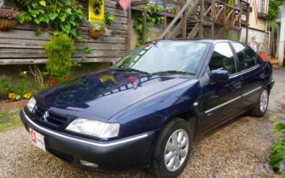 新入庫のお知らせ