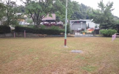 日曜日有難う御座いました