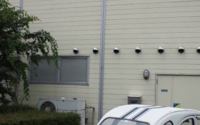 琵琶湖に行きました