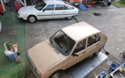 躍進 アウトニーズ