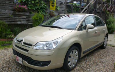 新入庫のお知らせ