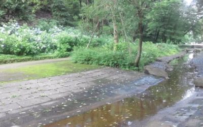 今日思ったこと