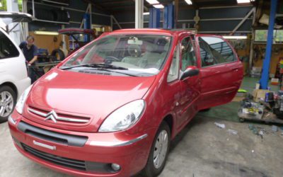 クサラピカソ　オールペイント