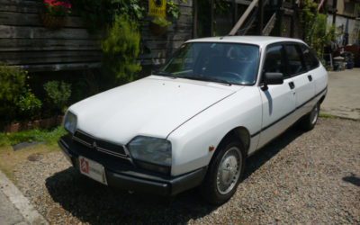 新入庫のお知らせ