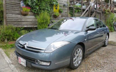 新入庫のお知らせ