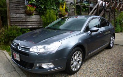 新入庫のお知らせ