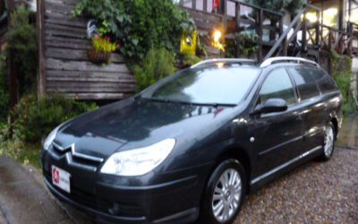 新入庫のお知らせ